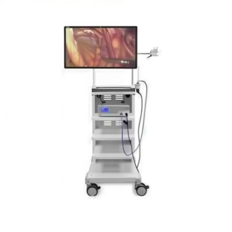 55-tums 4K Surgical Medical Monitor